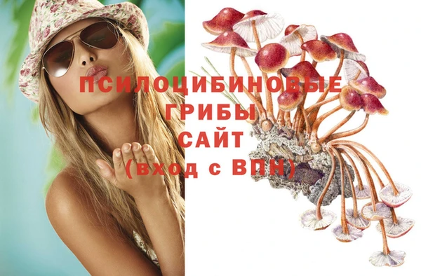 герыч Бугульма