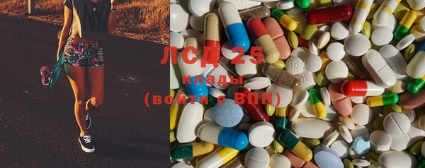 MESCALINE Бородино